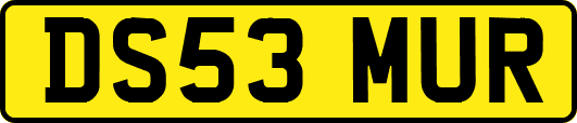 DS53MUR