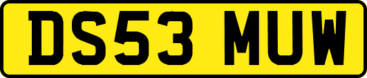 DS53MUW