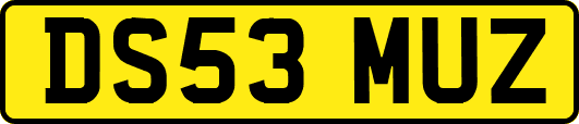 DS53MUZ