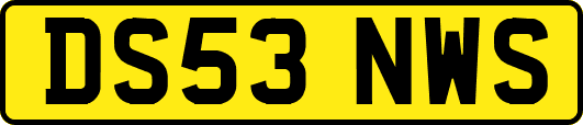 DS53NWS