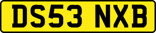 DS53NXB