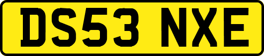 DS53NXE