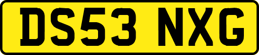 DS53NXG