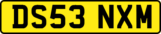 DS53NXM