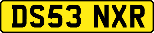 DS53NXR