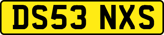 DS53NXS