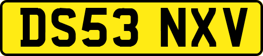 DS53NXV