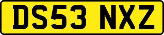 DS53NXZ
