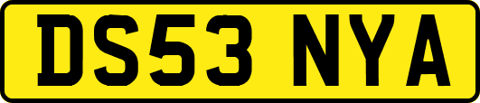 DS53NYA