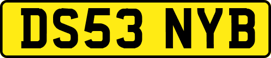 DS53NYB