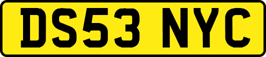 DS53NYC