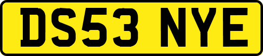 DS53NYE