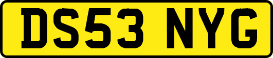 DS53NYG