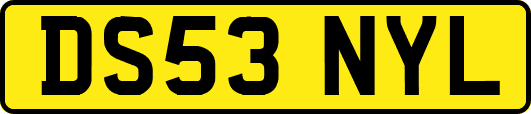 DS53NYL
