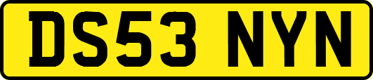 DS53NYN