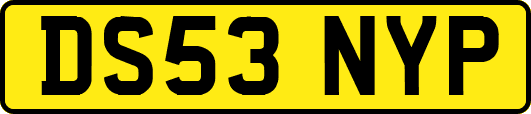 DS53NYP
