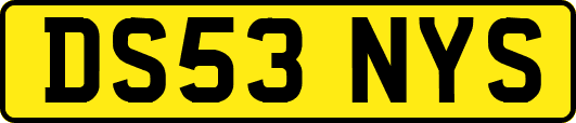 DS53NYS