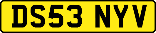 DS53NYV