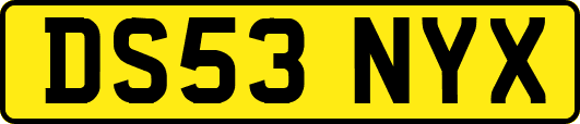 DS53NYX