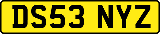 DS53NYZ