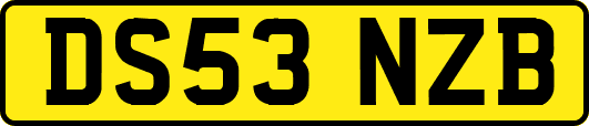 DS53NZB
