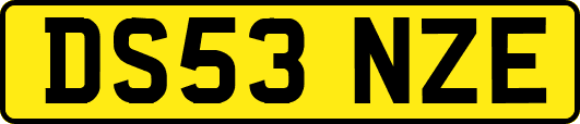 DS53NZE