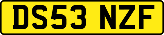 DS53NZF