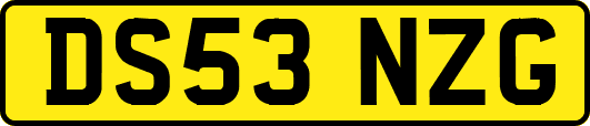 DS53NZG