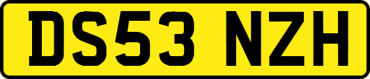 DS53NZH