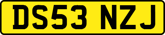 DS53NZJ