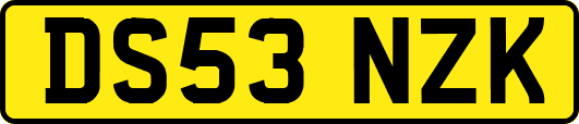 DS53NZK