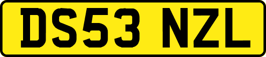 DS53NZL