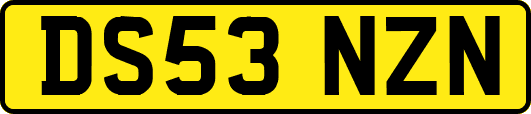 DS53NZN