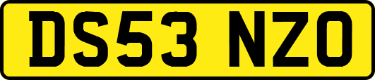 DS53NZO
