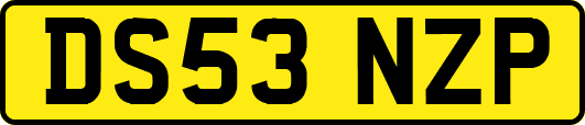 DS53NZP