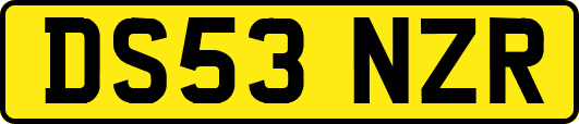 DS53NZR