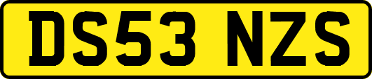 DS53NZS