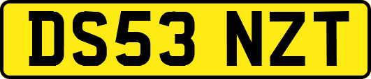 DS53NZT
