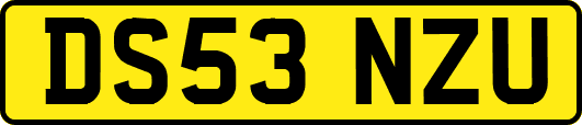 DS53NZU