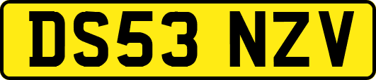 DS53NZV