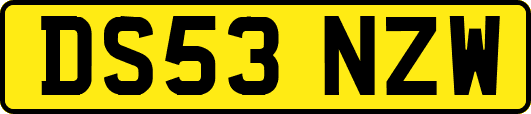 DS53NZW