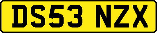 DS53NZX