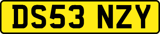 DS53NZY