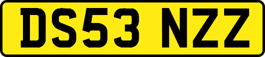 DS53NZZ