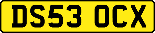 DS53OCX