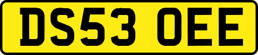 DS53OEE
