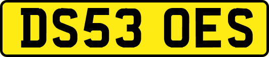DS53OES