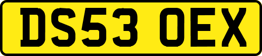 DS53OEX