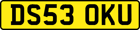 DS53OKU
