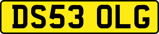 DS53OLG